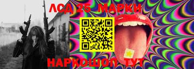 мяу мяу мука Аргун