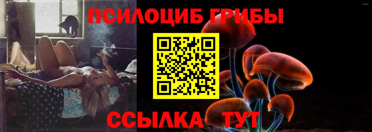 Видное  Галлюциногенные грибы прущие грибы  Вход с VPN  Галлюциногенные грибы Cubensis 